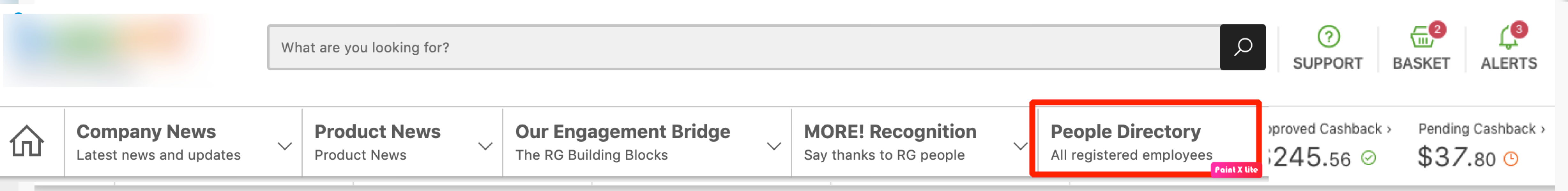 A tab dedicated to the People Directory.