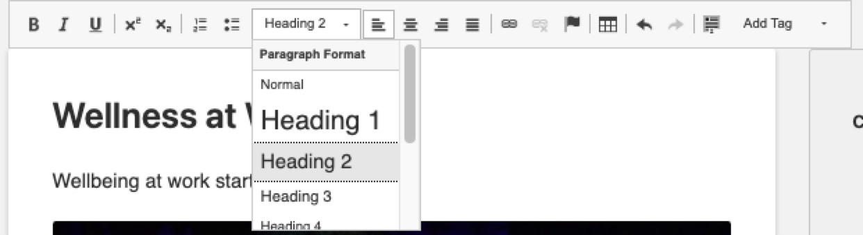 formatting bar