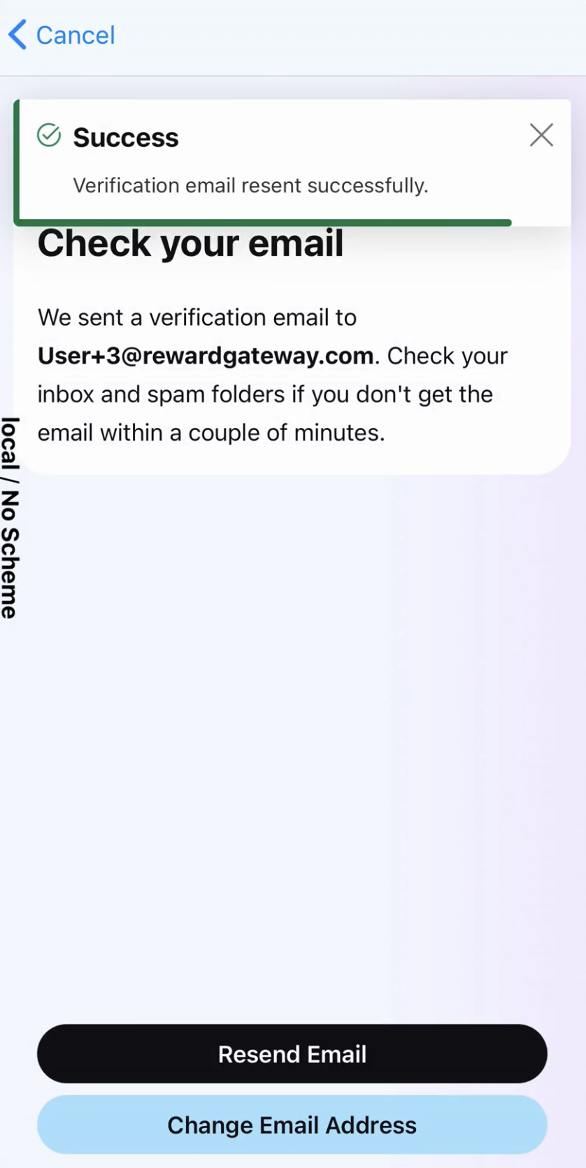 Email verification success 