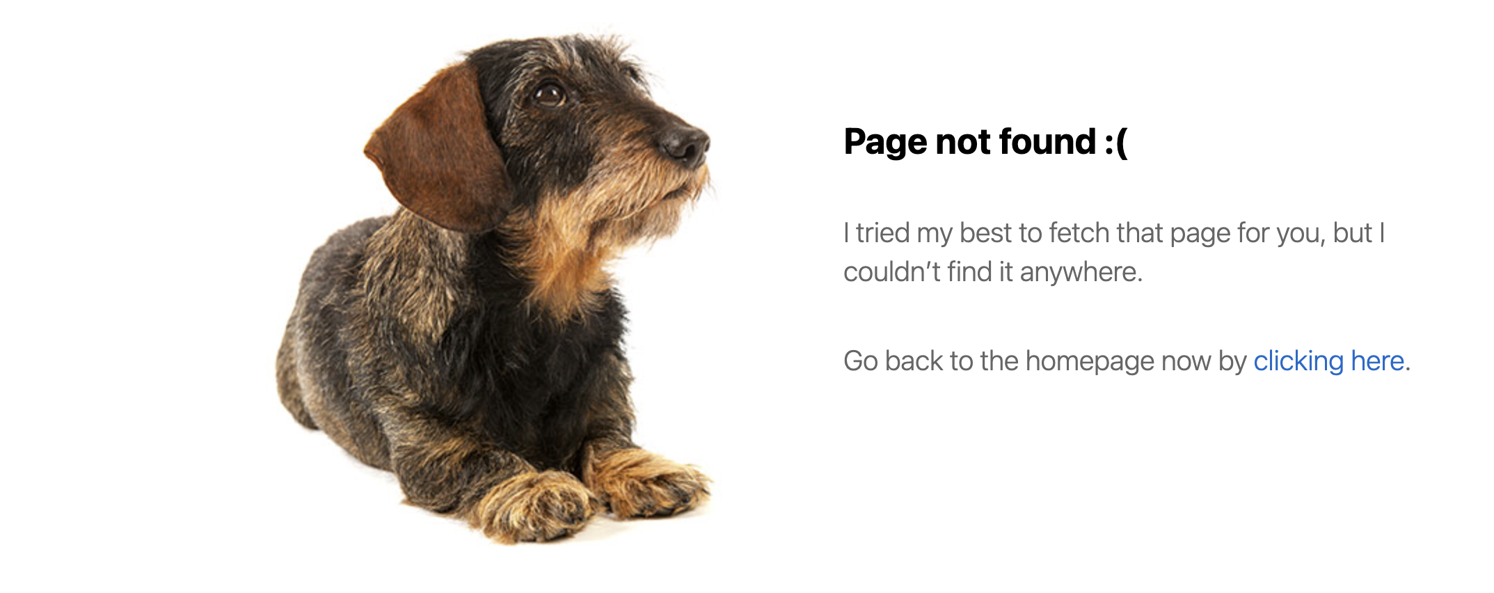 page not found error